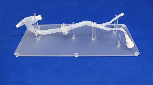 Thoracic aorta vascular model - XXD026 - Trando 3D Medical Technology - iliac artery / abdominal aorta / femoral artery