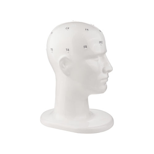Head model - TC7410 series - Tenocom - for neurology / for teaching / EEG