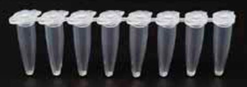 Laboratory test tube - HBP002CF8D - Biz Distribution - for PCR / transfer