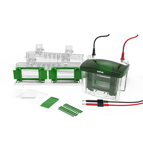 Scientific research electrophoresis cell - GEP-VH-4 - Infitek - vertical / 4-channel