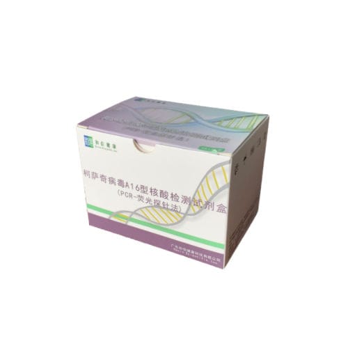 Infectious disease test kit - hecin-scientific - virus / enterovirus / laboratory