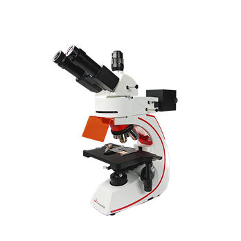Fluorescence microscope - BMC533-FLED-UVBG - Phenix Optics Co., Ltd. - optical / laboratory / for research