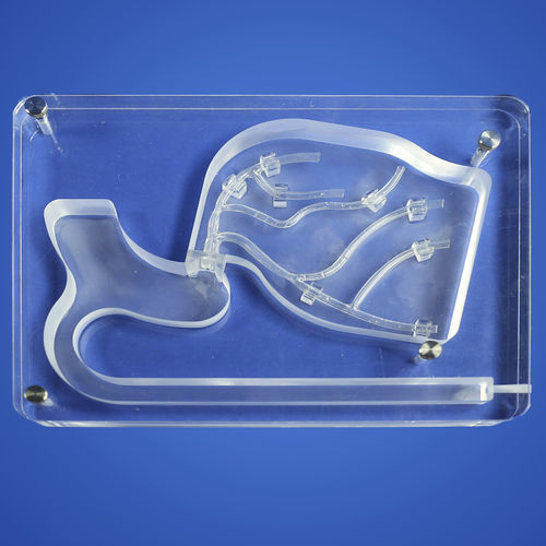 Coronary arteries vascular model - PLXG2001 - Shanghai Preclinic Medtech - for mini-invasive surgery / cardiac surgery / vascular surgery
