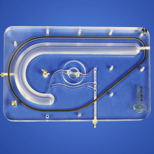 Heart vascular model - PLXG2001 - Shanghai Preclinic Medtech - coronary arteries / surgery / surgical