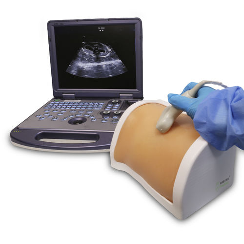 Percutaneous nephrolithotomy puncture simulator - PLMNCS001 - Shanghai Preclinic Medtech - training / workstation / ultrasound guided