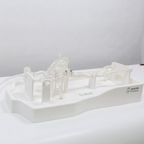 Sinus vascular model - PLXZXG001 - Shanghai Preclinic Medtech - heart / cardiac / vein