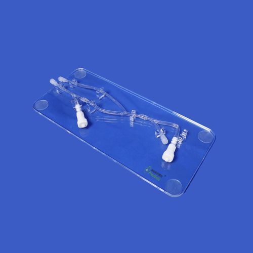 Upper limb vascular model - PLWZXG001 - Shanghai Preclinic Medtech - arm / cephalic vein / brachial artery