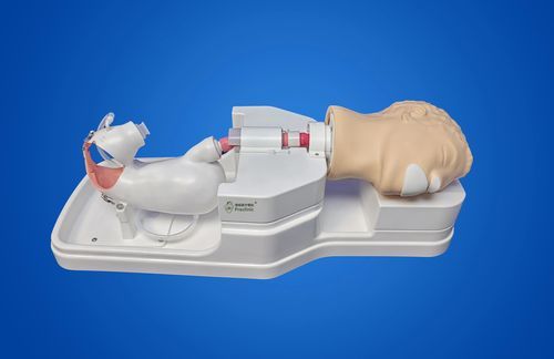 Gastroscopy simulator - LCWNJ004 - Shanghai Preclinic Medtech - endoscopy / dissection / for endoscopic training