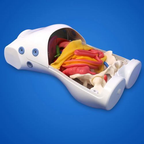 Laparoscopy simulator - PLPWQJ002A - Shanghai Preclinic Medtech - for teaching / training / robotic surgery