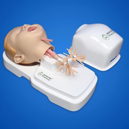 Pediatric care training manikin - PLHX1005-B - Shanghai Preclinic Medtech - bronchial endoscopy / for demonstration / airway management