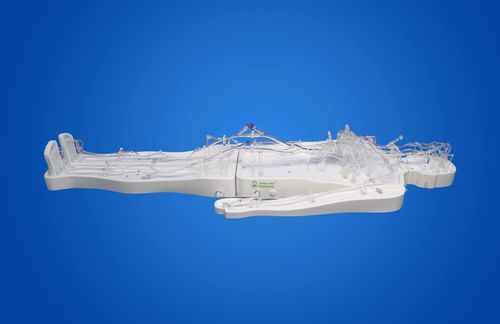 Whole body vascular model - PLZHXG011 - Shanghai Preclinic Medtech - circulatory system / artery / femoral artery