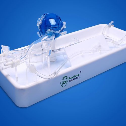 Coronary arteries vascular model - PLXZXG003 A - Shanghai Preclinic Medtech - descending thoracic aorta / radial artery / femoral artery