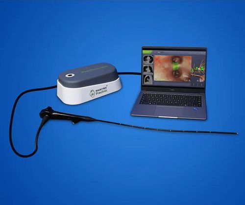 bronchial endoscopy simulator - Shanghai Preclinic Medtech