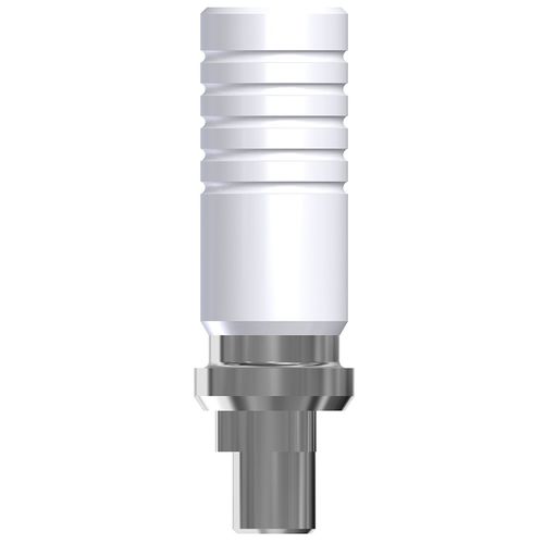 Plastic implant abutment - Nobel Biocare Replace® - ANGELS Dental Implant Solutions Center - CoCr / internal / straight