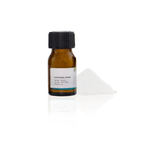 G418 reagent - G418-Q - Capricorn Scientific GmbH - gentamicin / for cell culture / powder