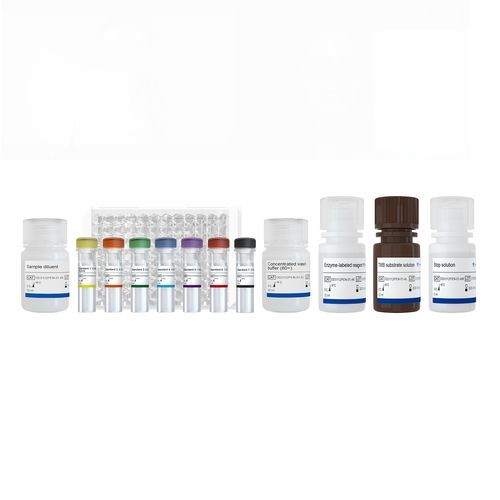 Medical research detection kit - RBD - Nanjing Vazyme Medical Technology Co.,Ltd - IgG / SARS-COV-2 / coronavirus