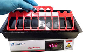 Slide warmer - M81050 - Novodiax