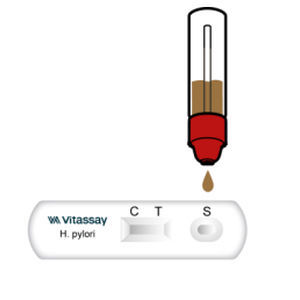 Rapid infectious disease test - VITASSAY HEALTHCARE S.L. - for antigens / Helicobacter pylori / stool