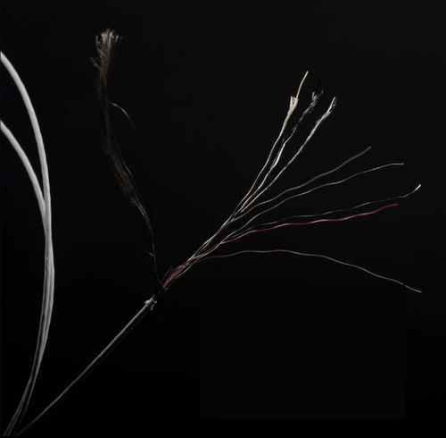 Camera cable - OVM series - Shenzhen Yong Qiang Fu Industry