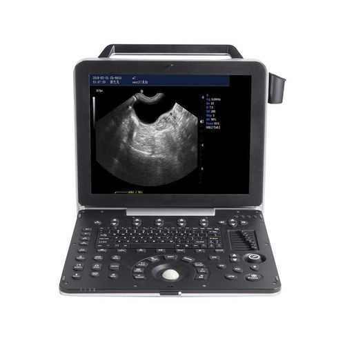 Portable veterinary ultrasound system - G8V - Beijing iTrason Technologies - multipurpose / for small animals / for large animals