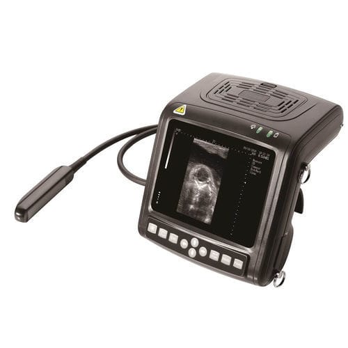 Hand-held veterinary ultrasound system - 5200 - Beijing iTrason Technologies - multipurpose / for swine / for equines