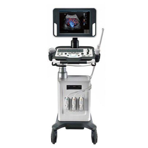On-platform ultrasound system - DC26 - Beijing iTrason Technologies - for gynecological and obstetric ultrasound imaging / for emergency medicine ultrasound imaging / for endovaginal ultrasound imaging