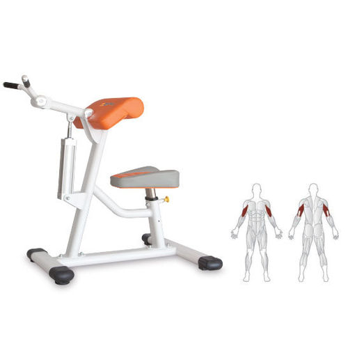 Arm curl gym station - KS102 - Shandong Zepu Medical Technology - triceps extension / rehabilitation
