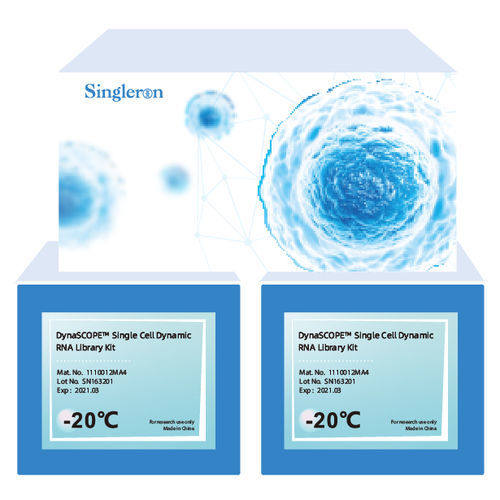 Solution reagent kit - DynaSCOPE™ - Singleron Biotechnologies - for research / for single cell RNA sequencing / RNA Synthesis