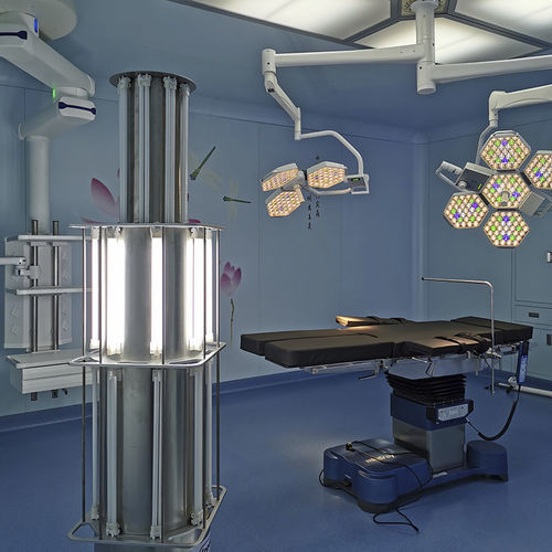 Food disinfection system - Jiangsu Fuyou Medical - UV / mobile / electric
