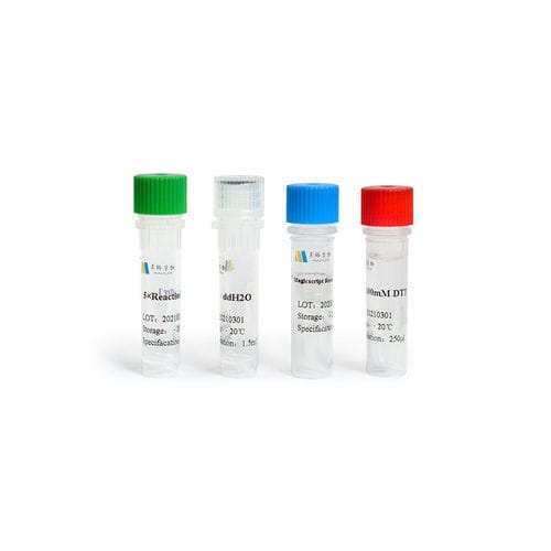 Enzyme reagent - Magicscript - Guangzhou Magigen Biotechnology Co. Ltd ...