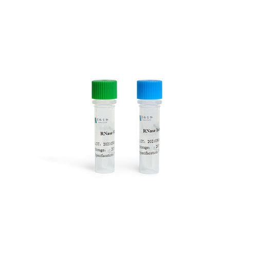 RNase inhibitor reagent - Guangzhou Magigen Biotechnology Co. Ltd