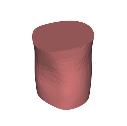 Elbow anatomical model - HUM-C - manikinmate - puncture / injection / for ultrasound imaging