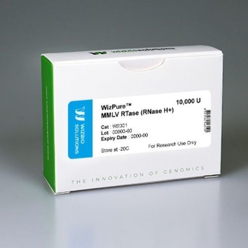 DNA polymerase reagent - WizPure™  - Wizbiosolutions Inc. - enzyme / for RT-PCR / for cDNA synthesis