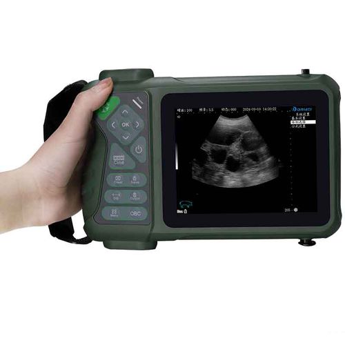 Hand-held veterinary ultrasound system - Elite - Dawei Medical - multipurpose / for small animals / for large animals