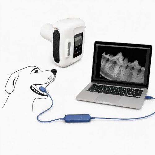 Digital veterinary X-ray system - Dawei Medical - intraoral