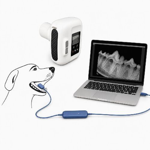 Digital veterinary X-ray system - Dawei Medical - intraoral