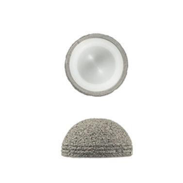 Cementless veterinary acetabular prosthesis - Anhui Bailu Small Animal Orthopedic Instrument