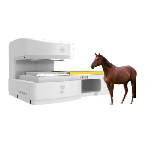 Pet veterinary MRI system - Van Gogh P8（0.5T） - Shanghai DBC Medical Imaging Technology - for equines