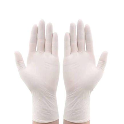 Latex gloves - Italia Paramount Strategies - medical / powder-free / EN 455
