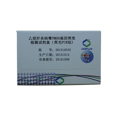 Hepatitis B detection kit - Xiamen Amplly Biotechnology Co., Ltd ...