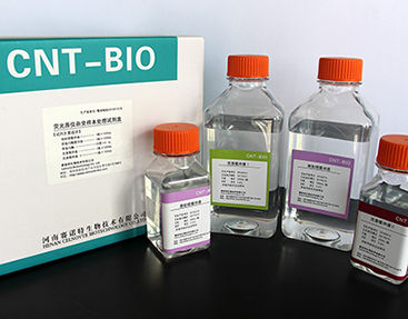 Solution Reagent Kit - Celnovte Biotechnology Co., Ltd. - Tissue / FISH