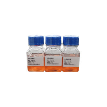 Medium reagent - SN4001 - Celnovte Biotechnology Co., Ltd. - clinical / cytogenetic / for cell culture