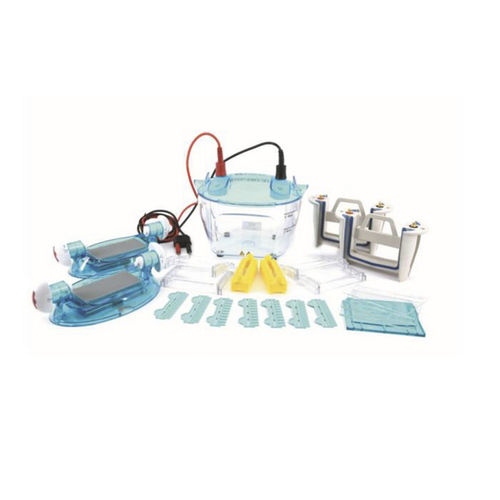 Agarose gel electrophoresis system - Qingdao Jiading Analytical Instruments Co., Ltd. - polyacrylamide gel / benchtop / 4-channel