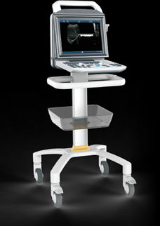 On-platform veterinary ultrasound system - D-1000v - DISPOMEDICAL - multipurpose