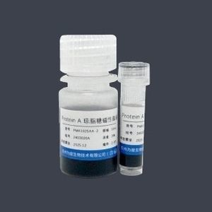 Microsphere reagent - PMA1025AA - VDO Biotech - agarose gel / for ...