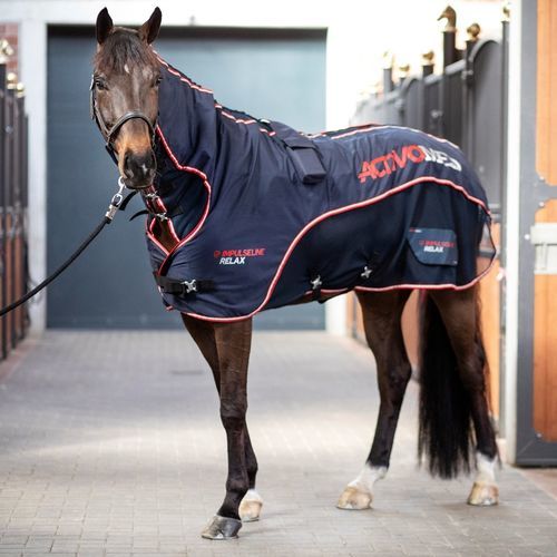 Veterinary therapy unit ActivoMed Relax FMBs for