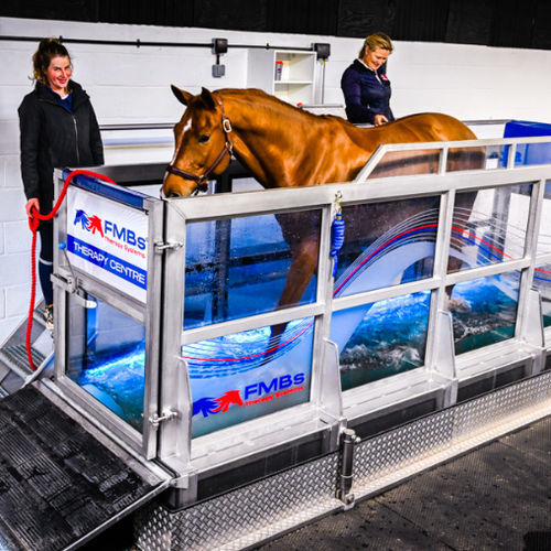 Horse veterinary treadmill - FMBs - underwater / hydrotherapy