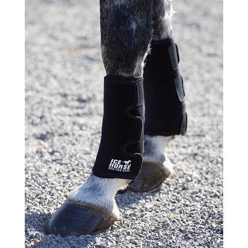 Veterinary regulation wrap - IceHorse® - FMBs