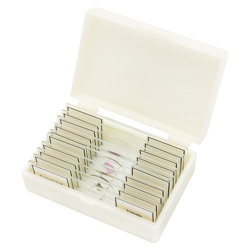 Microscope slide - 5984500 - Bresser