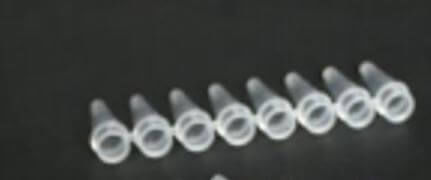 Laboratory test tube - YPT8-0.2-T - Mountain Scientific Inc - for PCR / for DNA / for RNA